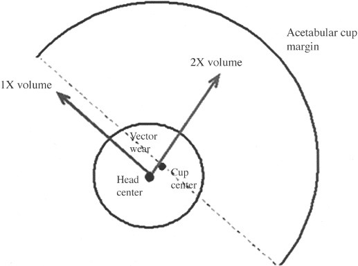Fonte: The Adult Hip (Callaghan), 3ª ed., Figura 18.6.